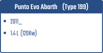 Punto Evo Abarth (Type199)  | 2011_   | 1.4L (120Kw)