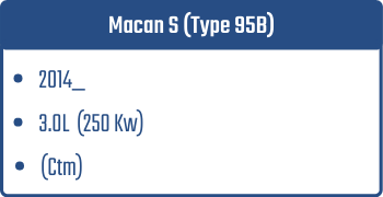 Macan S (Type 95B) | 2014_  | 3.0L 250 Kw (Ctm)