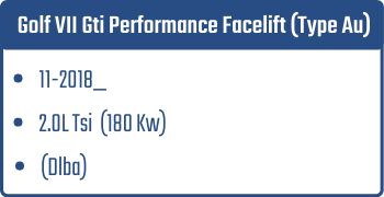 Golf VII Gti Performance Facelift (Type Au) | 2017_  | 2.0L Tsi 180 Kw (Dlba)